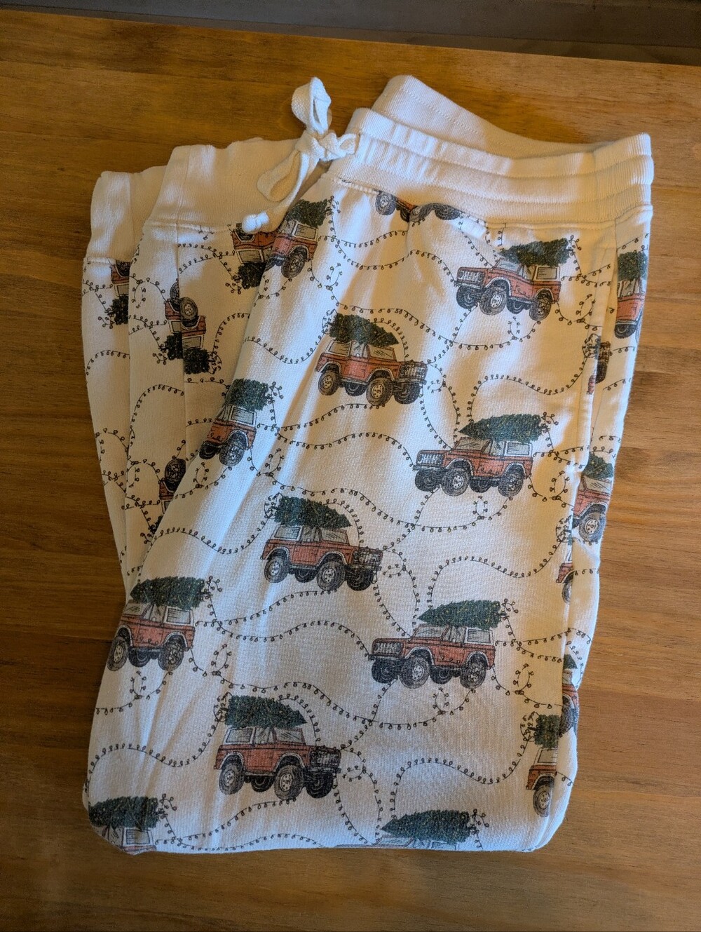 American Eagle Christmas Bronco Joggers